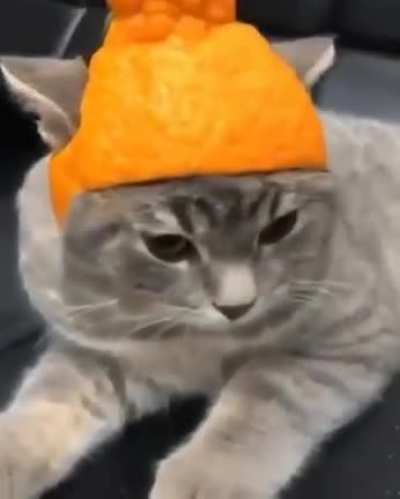 The way the cat's ears slot into the holes so smoothly