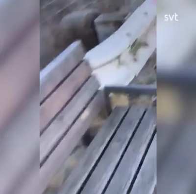 Hey look, a bus crash! &amp;lt;proceeds to run with camera at side&amp;gt;