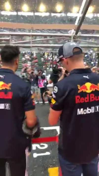 f1 muppets in love