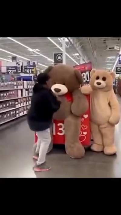 Bear