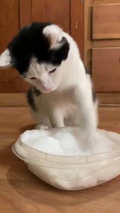 Touch tha snow.