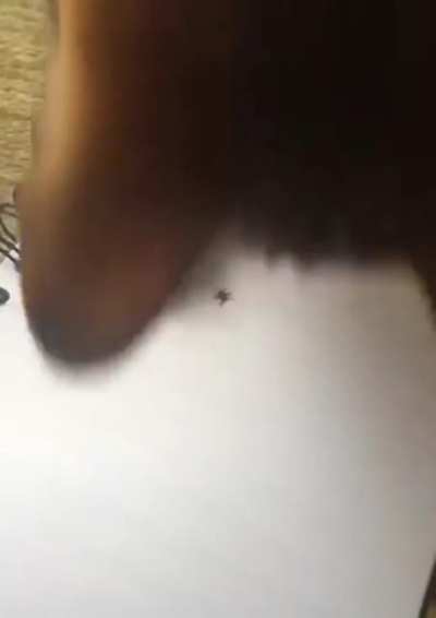 Better than a red dot