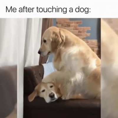eh that&rsquo;s cute