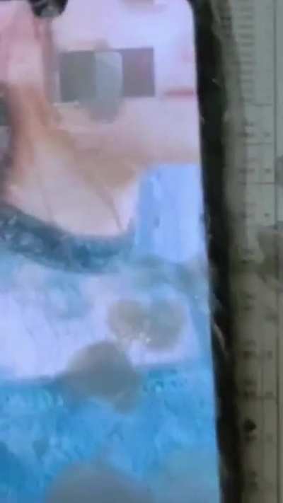 Amulya rattan cum