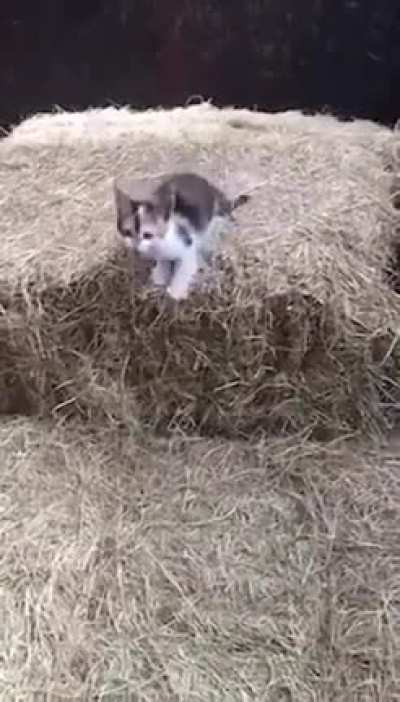 I fly!