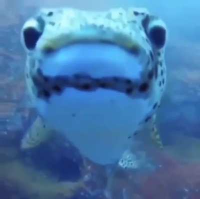 "Hey you got any games on your phone?"