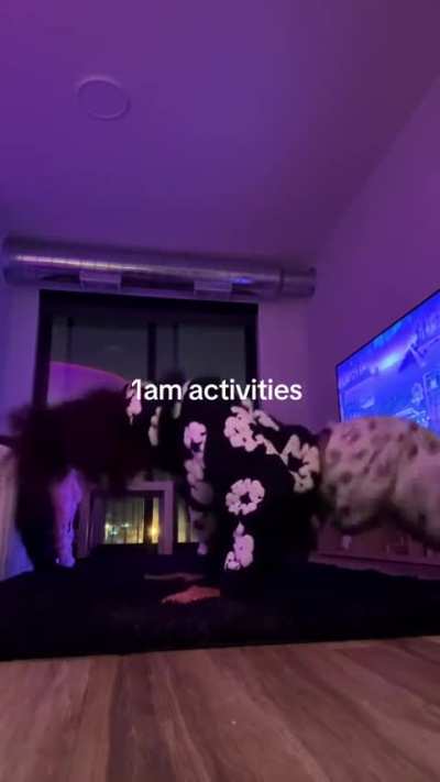 Shaking that ass