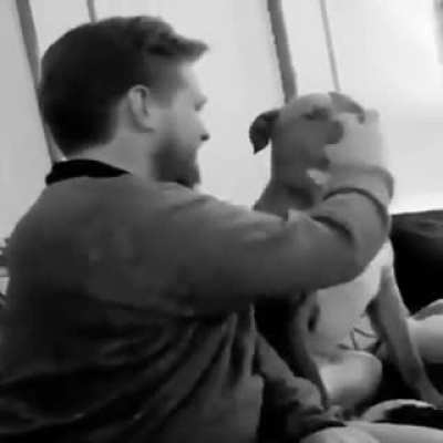Dog.exe