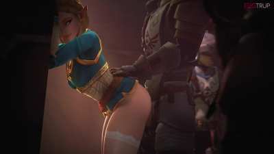 Princess Zelda fucked from behind (Fugtrup) [The Legend of Zelda]