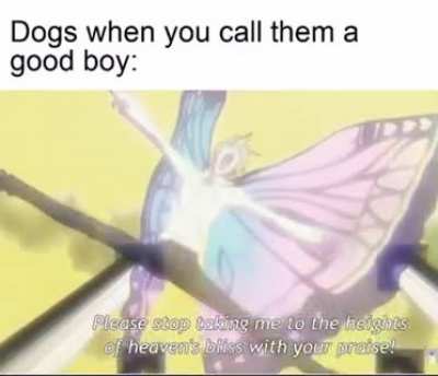 Hunter X Hunter is cool