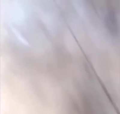 Mi perro act&uacute;a raro, no creen?