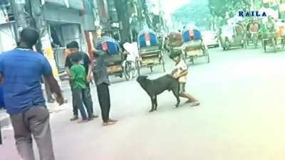 Doggy kid