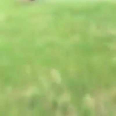 Trying to jump over