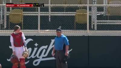 Multiple cameramen keep parrots in shot as they fly around the baseball stadium