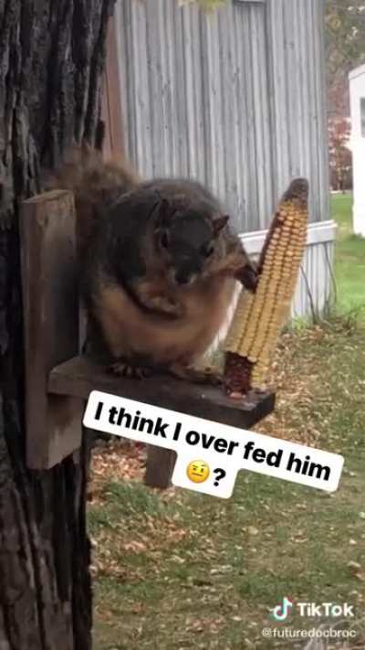 He&rsquo;s thicc