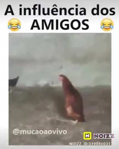 Meu pai me mandou outro v&iacute;deo