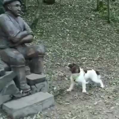 Come on human you can do it.
