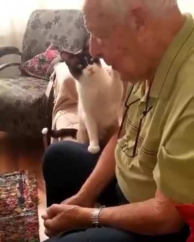 touch tha face