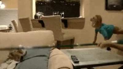 Which video does this gif come from?