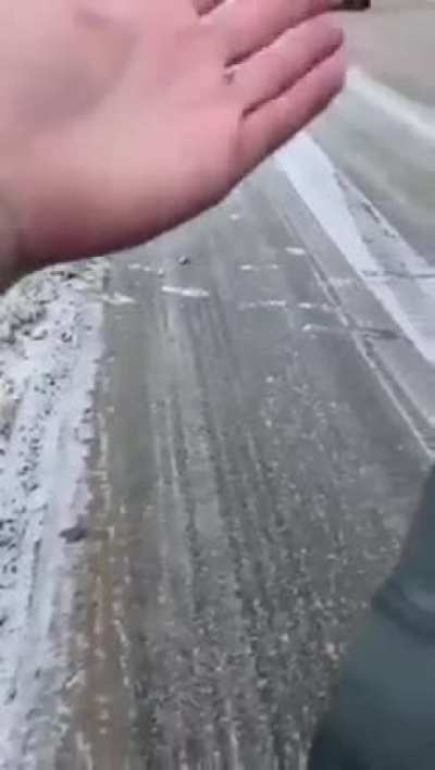 Еще видос с мишкой из Нижневартовска вчера