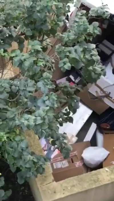 WCGW Forget handbrake