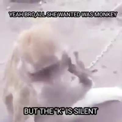 I&rsquo;m sorry