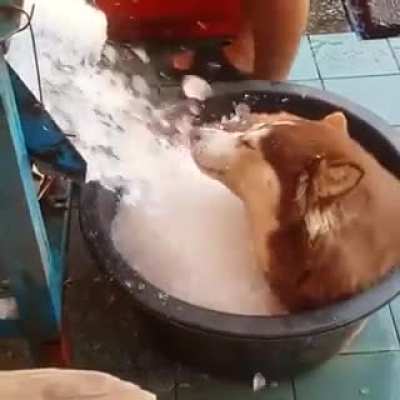 &ldquo;Dog, you need to chill&rdquo;