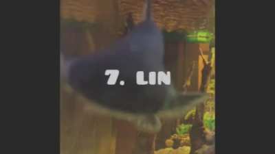 top 10 fish