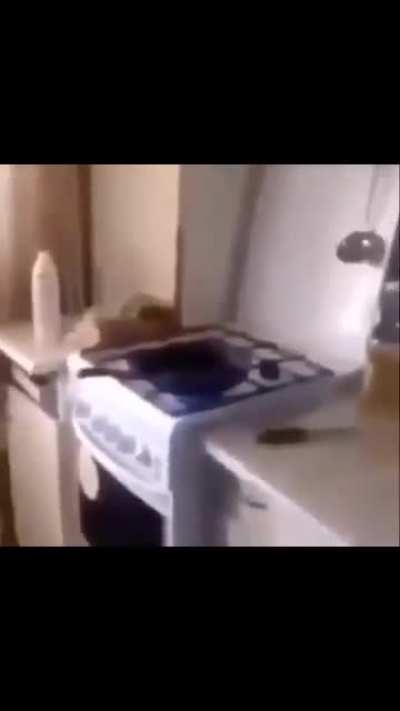 I don't know what to title this
