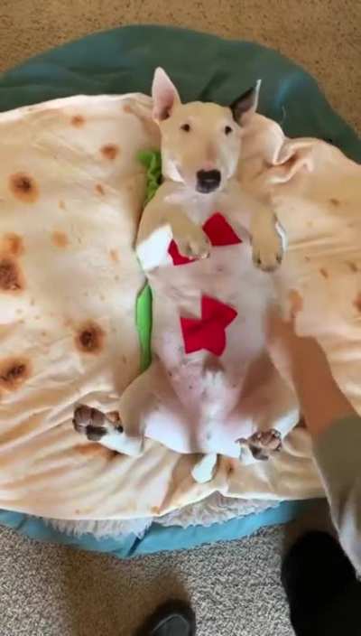 forbidden taco
