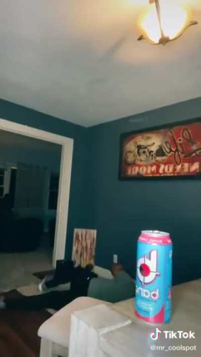 Guy Messes with shock collar and gets electrocuted