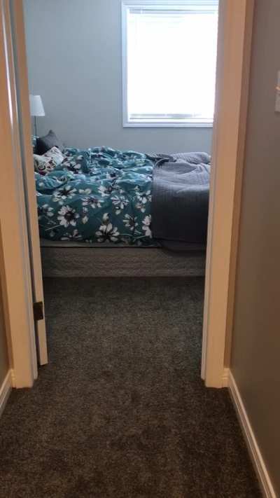 "Just moved into a new house" zoomies