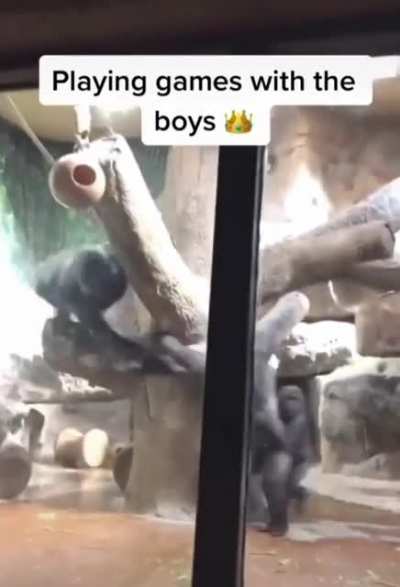 Monke mood
