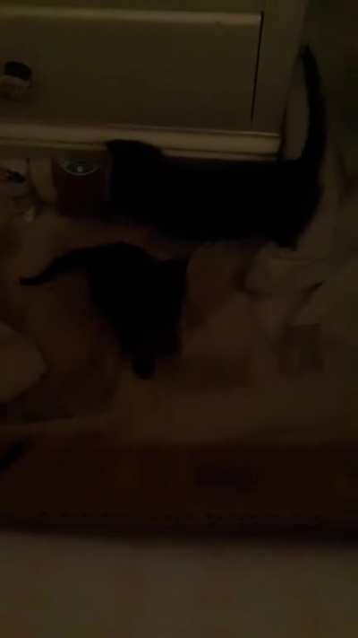 he jumped at me