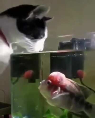Hey ! Stop that!