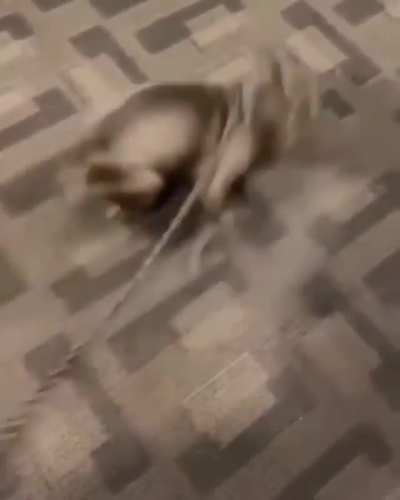 Maybe maybe maybe