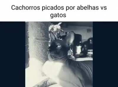 😎😎