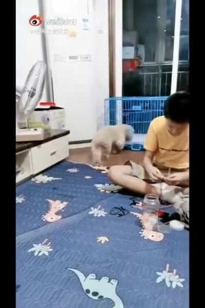 What?