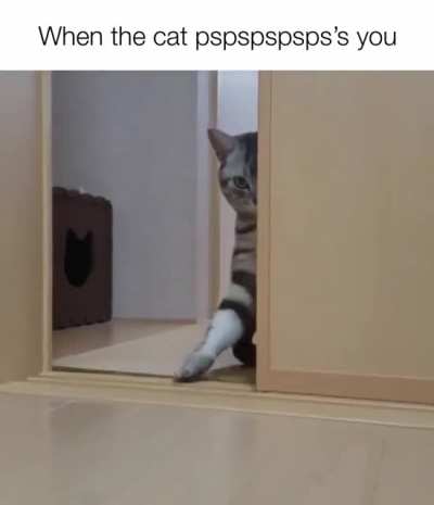 come here