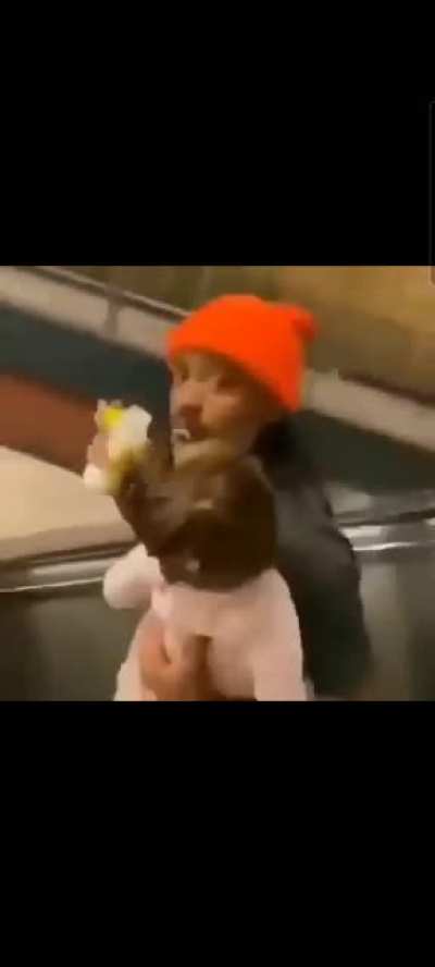 My golden vid