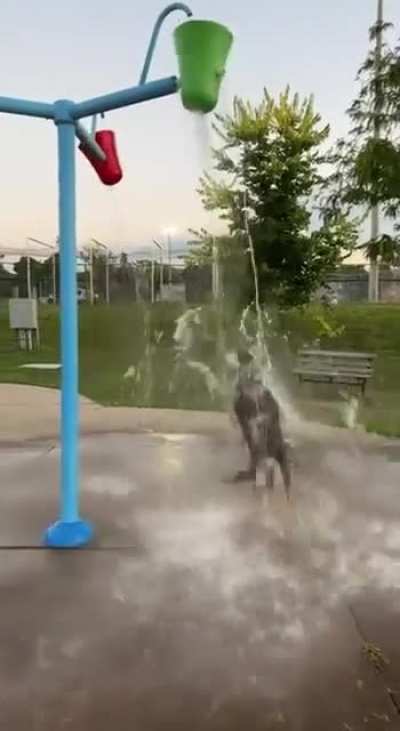 doggone happy&hellip;