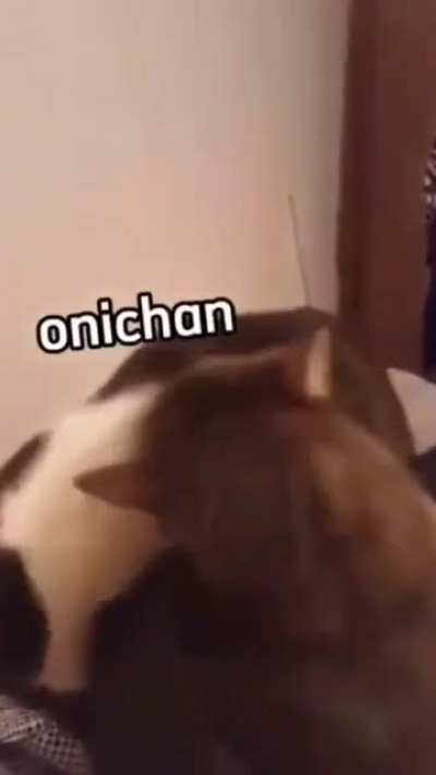 Live action be like