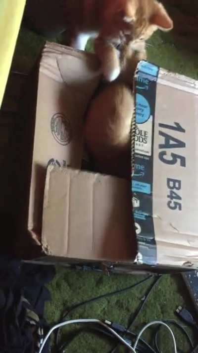 Love of boxes