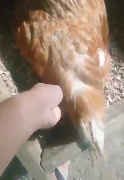 O_o
