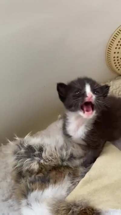 Listen I&rsquo;m just a babie