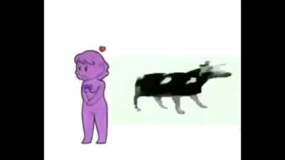 Yo