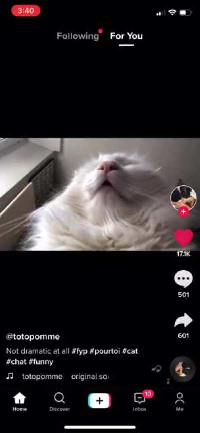 Epitome of startledness on TikTok