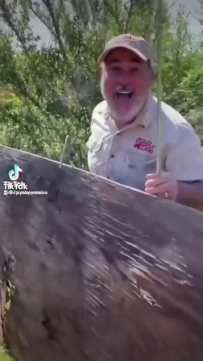 nice camouflage 