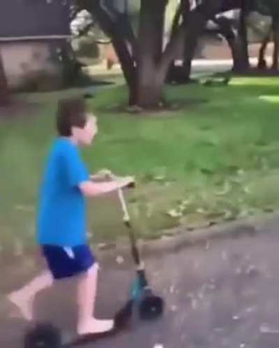 Audio slightly corrupted I think idk I&rsquo;m no expert