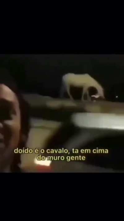 UM CLASSICO 🐎